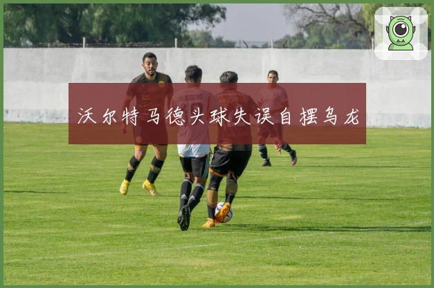 沃尔特马德头球失误自摆乌龙