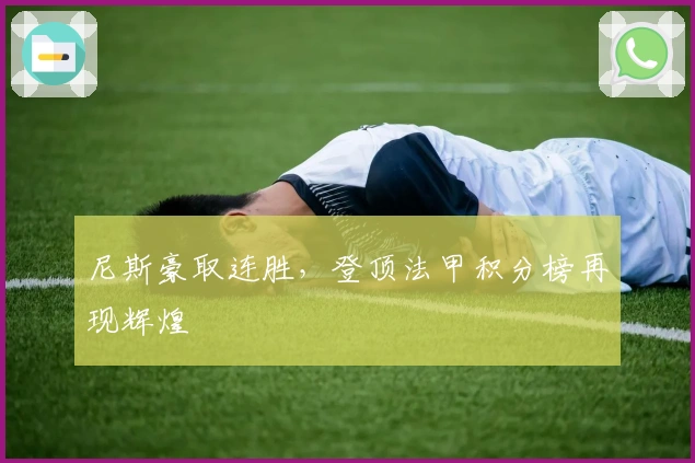 尼斯豪取连胜，登顶法甲积分榜再现辉煌