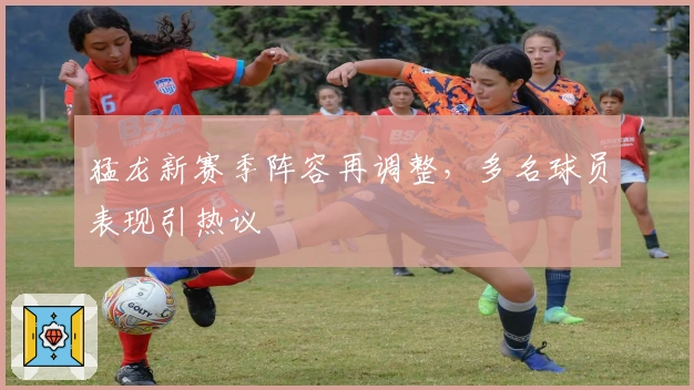 猛龙新赛季阵容再调整，多名球员表现引热议