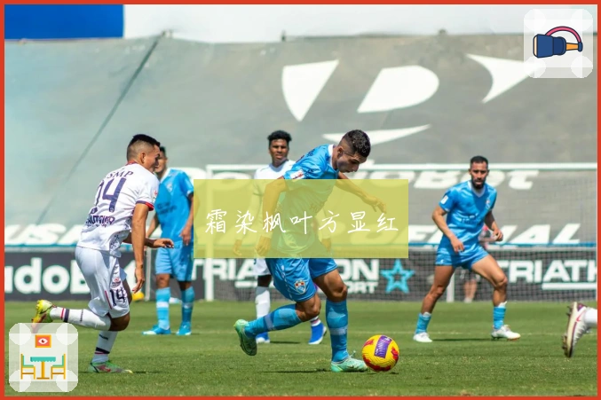 霜染枫叶方显红