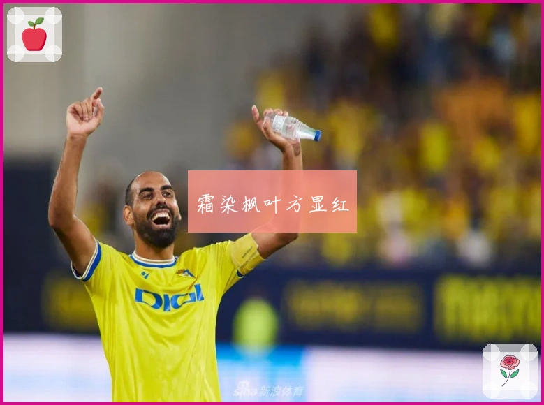 霜染枫叶方显红