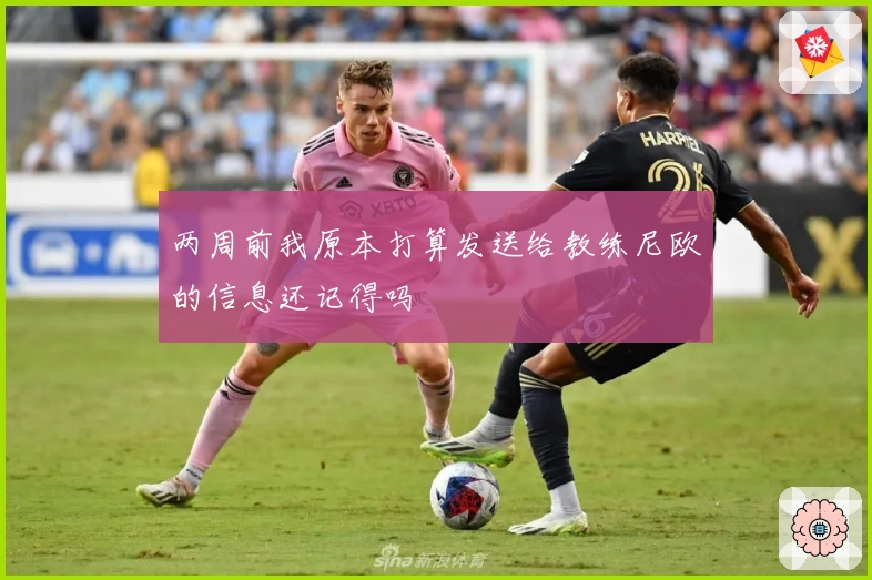 两周前我原本打算发送给教练尼欧的信息还记得吗