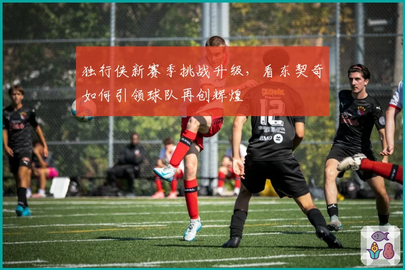 独行侠新赛季挑战升级，看东契奇如何引领球队再创辉煌