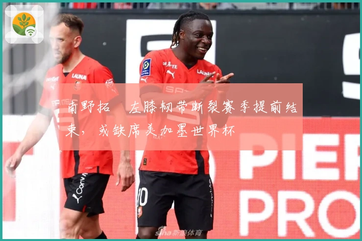 南野拓実左膝韧带断裂赛季提前结束，或缺席美加墨世界杯